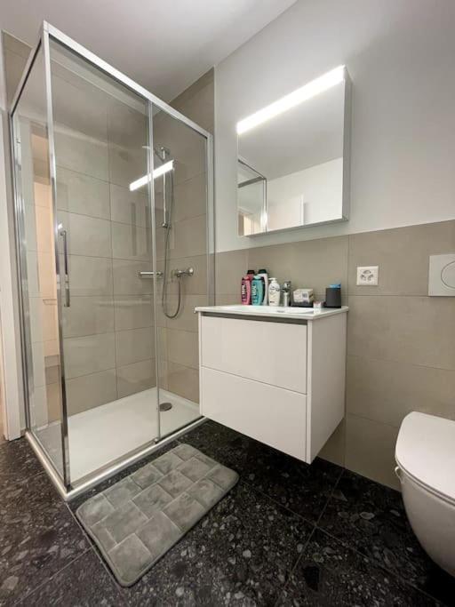 Five Stars Comfort Apartment Lugano Near The Lake Екстериор снимка