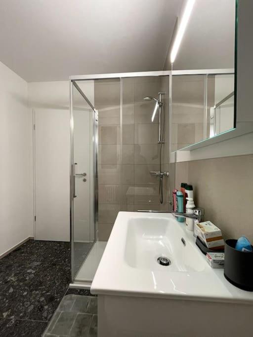 Five Stars Comfort Apartment Lugano Near The Lake Екстериор снимка