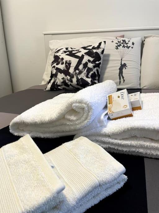 Five Stars Comfort Apartment Lugano Near The Lake Екстериор снимка
